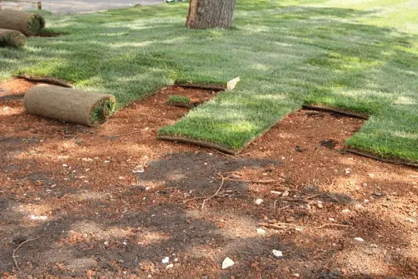 Sod Service