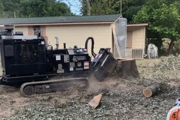 Tree Stump Removal